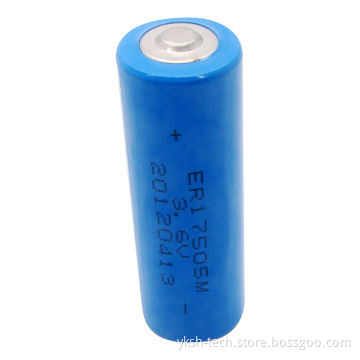 3.6V Lithium/Environmental Battery, 2,800mAh Rated Capacity, 600mA Current